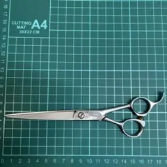 Item thumbnail for item a167f0e3-a9b8-41c7-bc31-b697dd57ad27