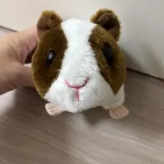モルモット　ぬいぐるみ