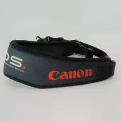 Item thumbnail for item 089e4cd7-039f-4272-9c02-665757311f94