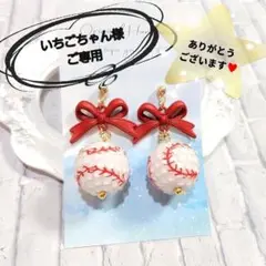 いちごちゃん様 ご専用⭐