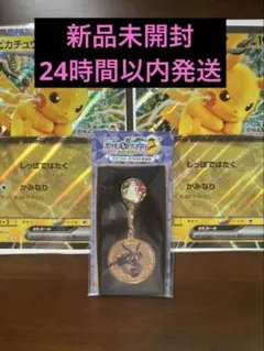 【未開封】ポケモンメガスタンプラリー2025 ジャンボカード ピカチュウex