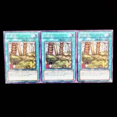 遊戯王 大樹海  3枚セット No.485