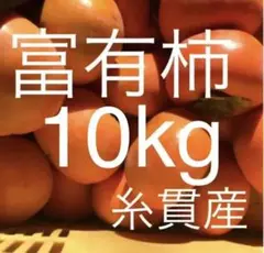 タイムセール‼️富有柿10kg詰め合わせ⭐️産地直送