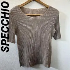 【昭和レトロ】SPECCHIO シアープリーツ レディース トップス