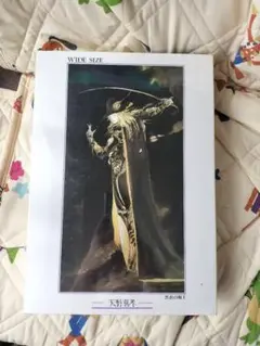 2025年最新】天野喜孝 黒衣の剣士の人気アイテム - メルカリ