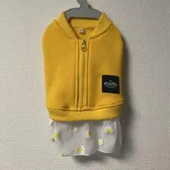 Item thumbnail for item 902340e1-657f-4e38-9e6b-0612c9f4e2f4