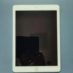 Apple iPad ゴールド 本体 充電ケーブル付き