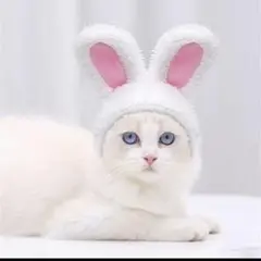 Item thumbnail for item f11d1876-fda8-4d86-983c-04cabf246c98