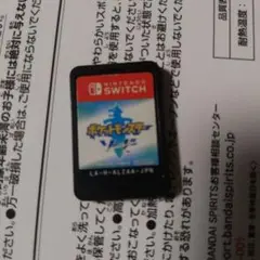 ポケットモンスターソード　 Nintendo Switch