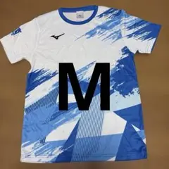 Item thumbnail for item 03658cef-0ea8-4a05-b17e-9915884f1cc3