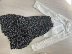 Item thumbnail for item 1b858c98-b9d4-44ca-9d15-38a7438711ea