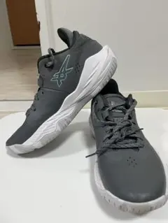 Item thumbnail for item ba2bf699-9e69-4c21-ac4d-eafdb87f2f70