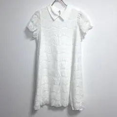 Item thumbnail for item 0d223e81-2dd5-4b35-bb39-7bf03b9ef5f5