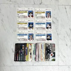 なめ猫 カード38枚まとめ売り