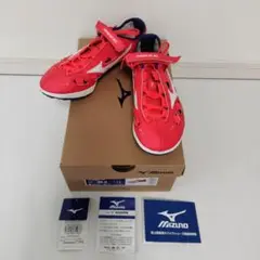 クロノインクスネオ 25.0cm MIZUNO 説明書と箱とタグあり