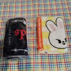 プロフ必読！！ ✪LIVEタオル東京ドーム版＆ペンミタオル✪クリーニング済み✪