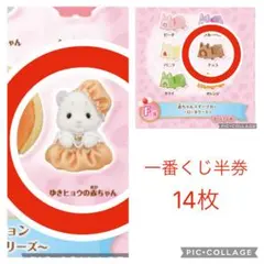 シルバニアファミリー　キラキラくじ　G賞・F賞・半券