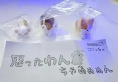 ガチャガチャ 怒ったわんちゃあああん