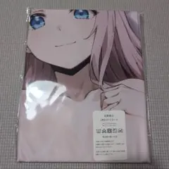 かぐや様は告らせたい藤原千花1〜2回目の〇〇抱き枕カバー90cm×45cmサイズ