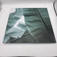 2025年最新】ボーコンセプト boconcept アート パネルの人気