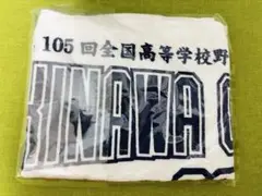 沖縄尚学　105回全国高等学校野球選手権大会