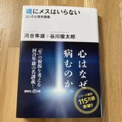魂にメスはいらない ユング心理学講義