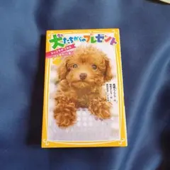 犬たちからのプレゼント : ショコラがくれた"はじめの一歩"