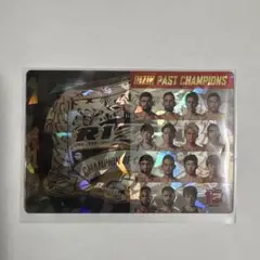 RIZIN ポテトスティック カード