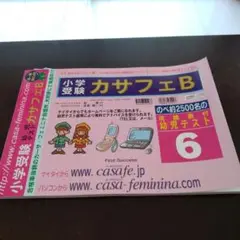 カーサフェミニナ　小学校受験　幼児テスト　トライB1〜12 書き込み/解答無 カーサフェミニナ 小学校受験 幼児テスト トライB1〜12 書き込み