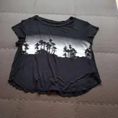 アメリカン•イーグル　黒のパームツリーTシャツ　M