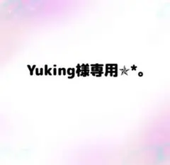 Yuking様専用ページ