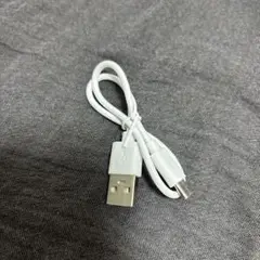 CtoUSBケーブル 25cm 短め 充電ケーブル PCケーブル Android