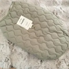 Item thumbnail for item bea34f03-9090-450b-a12b-929760b6c3a3