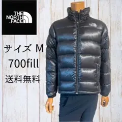 Item thumbnail for item a4bcd516-9321-402f-96af-1f81ab36a705