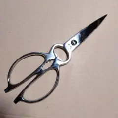 Item thumbnail for item 0475fb74-8e7a-45ec-8162-30619040079e