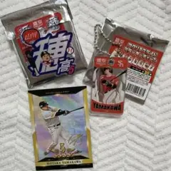 #5山川穂高 グッズ