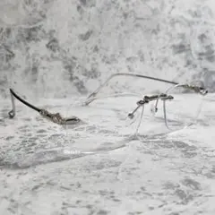 Item thumbnail for item d2e4fe9f-459b-4c5d-ae73-c7b2b208a62a