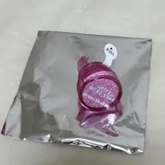 エビライ リングライト 超特急