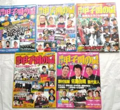 輝け甲子園の星 2007 5冊セット
