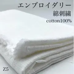 Z5　0806-58　エンブロイダリー綿刺繍　1.5ｍ　オフホワイト　綿　生地