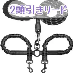 Item thumbnail for item 1b46f68b-d65a-4d35-a0a4-8fe0f6e3abe5