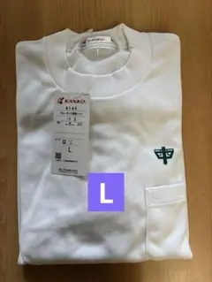 Item thumbnail for item 529784b6-1290-44de-b11a-adde36dbd864