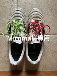 Mizuno モレリア2 JAPAN
