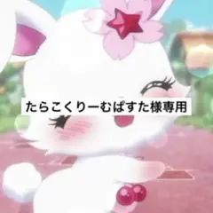 専用出品