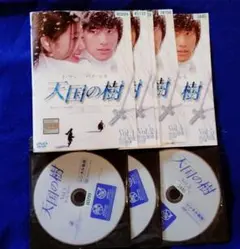 韓国ドラマ 天国の樹 DVD 全5巻セット