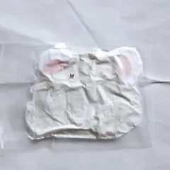 Item thumbnail for item 20a16c55-d8eb-44f6-bd3e-24440b8c9081