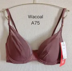 Item thumbnail for item a887a529-fef4-4f87-bbcf-5a4ed41d49d3