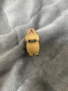 どうぶつゲーマー マーモット
