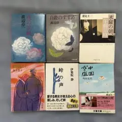 文庫本セット 渡辺淳一、蓮見圭一、落合恵子 他