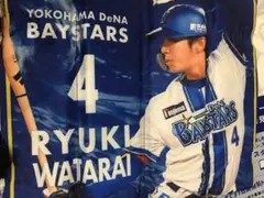 横浜DeNAベイスターズ ブラインドスタジアムシートクッション 度会隆輝